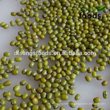 New Crop Green mung bean price